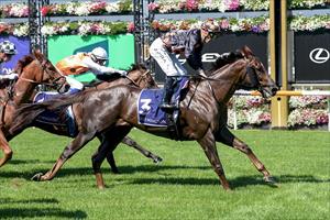 Midtown Boss, Flemington March 2024 Midtown Boss, Flemington March 2024